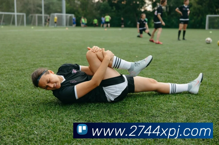 xpj发展历程